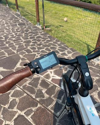 Bici elettica