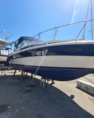 Sea ray