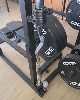 Palestra professionale