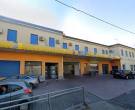 Cessione d'azienda a Paola (CS)