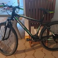 Mountain bike Lombardo