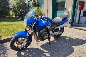 Honda Hornet