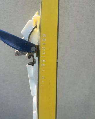 Sci da fondo skating