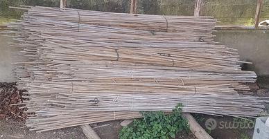 Circa 300 canne di bamboo per giardinaggio