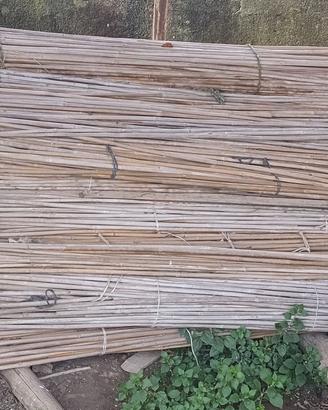 Circa 300 canne di bamboo per giardinaggio