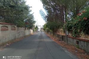 Terreno Edificabile - Pedara
