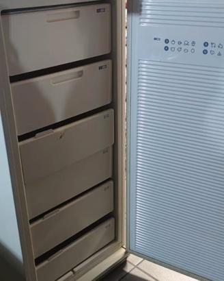 CONGELATORE VERTICALE