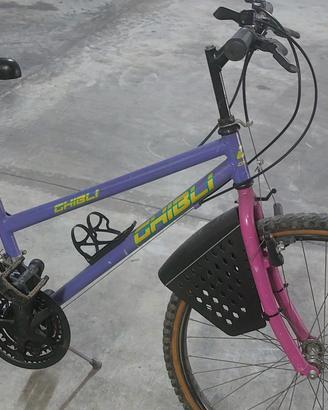 bici mtb