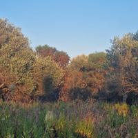 Terreno /rudere collabente