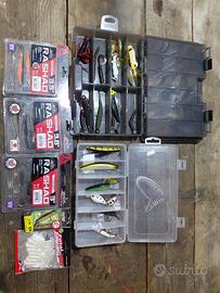 esche da pesca
