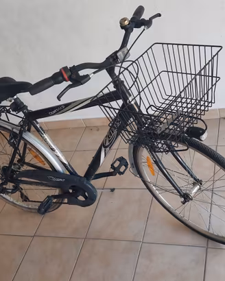 Bicicletta da passeggio