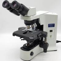 Microscopio Olympus BX41