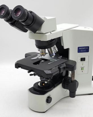 Microscopio Olympus BX41