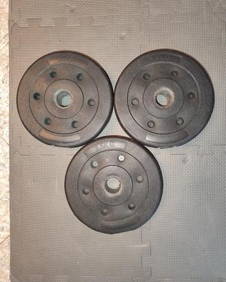3 Dischi da 2,5kg