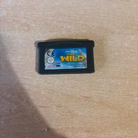 Gioco Nintendo Gameboy