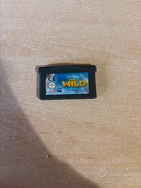 Gioco Nintendo Gameboy