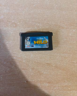 Gioco Nintendo Gameboy