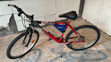 Bicicletta adulto