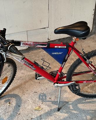 Bicicletta adulto