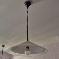 lampadari in vetro di murano sospesi coppia