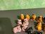 Immagine 2
