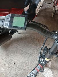 Bici elettrica