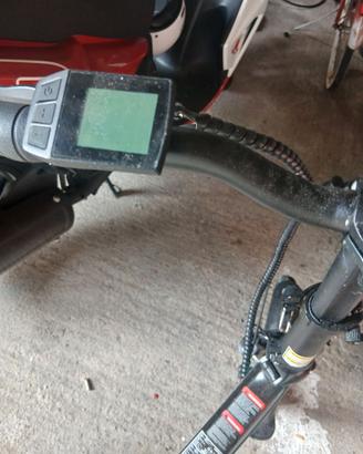 Bici elettrica
