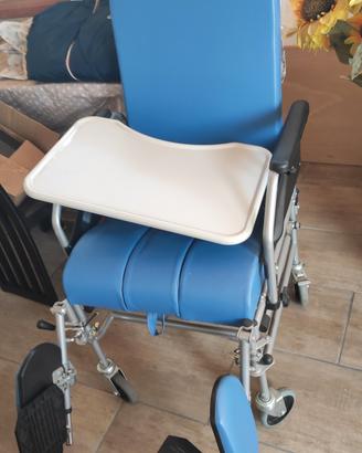 sedia per invalidi