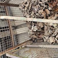 Stock morsetti per tubi innocenti