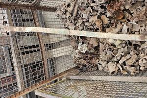 Stock morsetti per tubi innocenti