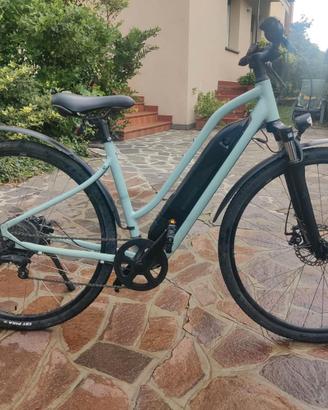 bicicletta elettrica  da trekking