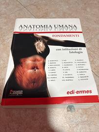 Anatomia umana fondamenti
