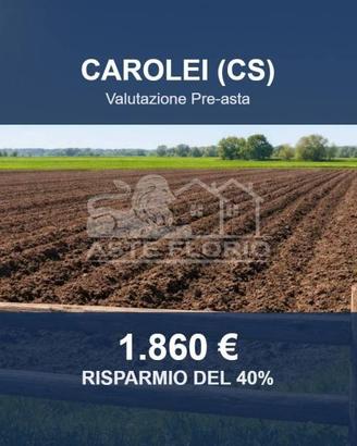 Immobile in asta di 82 m² a Carolei