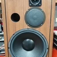 Diffusori Cerwin - Vega! Digital - Series D5-E