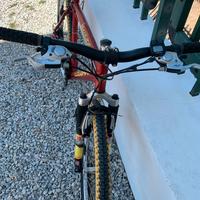 MTB Lee Cougan