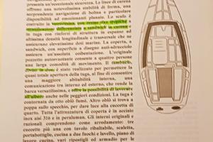 Barca a vela bisso two