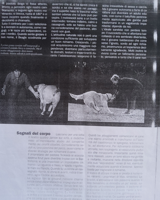 Educazione del Cane