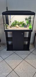 acquario 120L