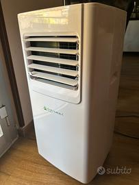 Climatizzatore e deumidificatore pyramidea acp7001