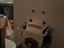 Immagine 3