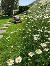 🌿 Giardiniere privato taglio erba pulizia giardini