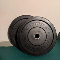 Dischi bumper training 2x15kg