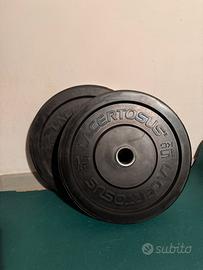 Dischi bumper training 2x15kg