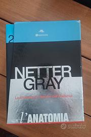 Cofanetto Netter-Gray L'Anatomia - Edra Masson