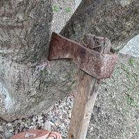 Ascia in ferro antico 