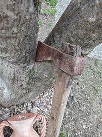 Ascia in ferro antico 