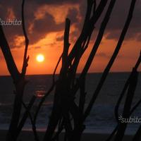 Sicilia casa vacanze al mare con giardino