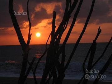 Sicilia casa vacanze al mare con giardino