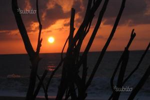 Sicilia casa vacanze al mare con giardino