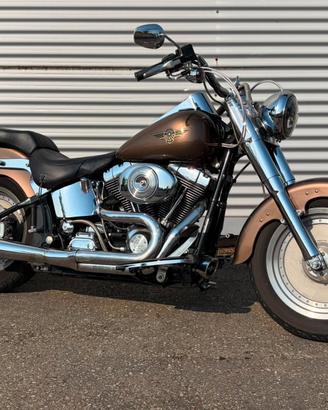 Harley-davidson 1450 Fat Boy SOFTAIL FLSTFI